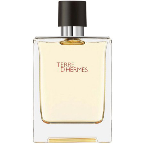 Terre DHermes Cologne for Men - Pure Perfume Spray 2.5 oz